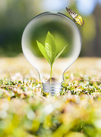 驚?。∫恢婚L頸鹿為人類認(rèn)識高血壓所做的貢獻(xiàn)